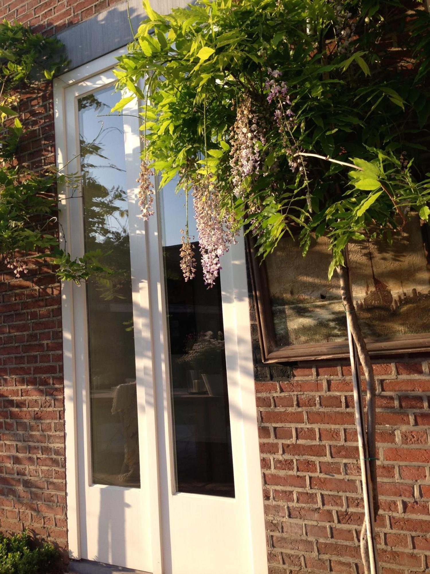 B&B Domaine Villa Bayard Kanne Chambre photo